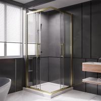 Душевой угол раздвижной 1200Х800x2000 цвет профиля Золото брашированное стекло прозрачное  PTC20-G-12080-01-C4 Premium Veconi